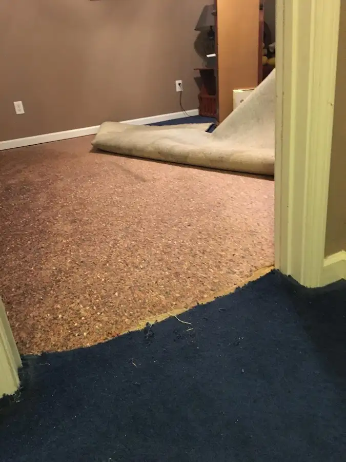 Carpet pad removal revealing water damage during Drying & Dehumidification in Rosemont