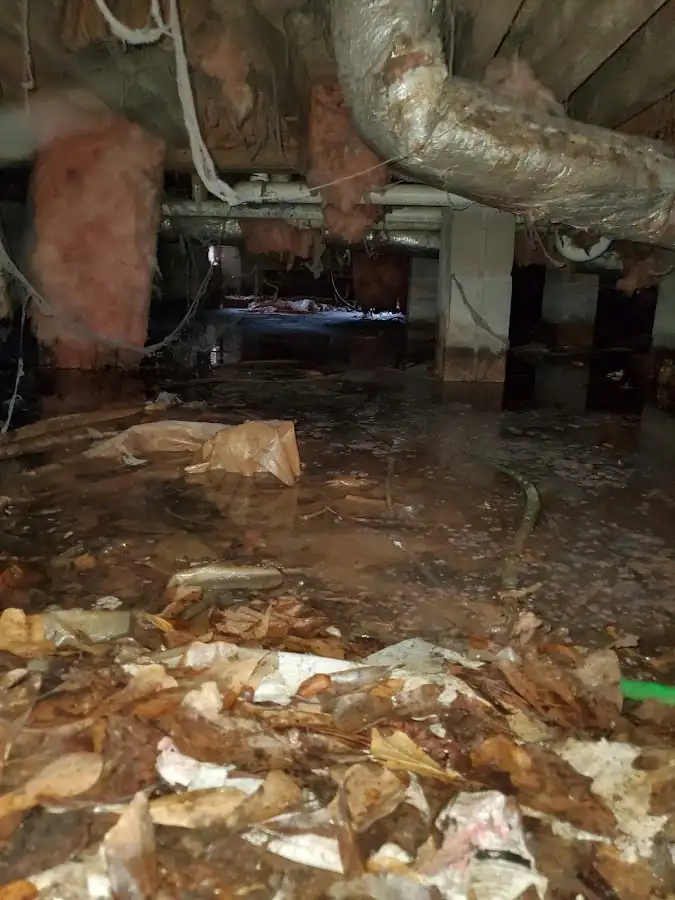 Crawl space flood assessment for Commercial Water Damage Restoration in Rosemont