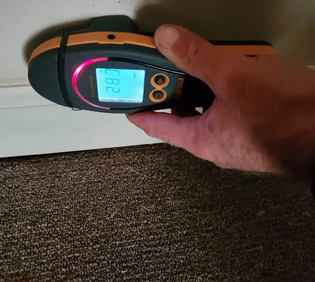 Moisture detection at baseboard during Burst Pipe Cleanup in Rosemont